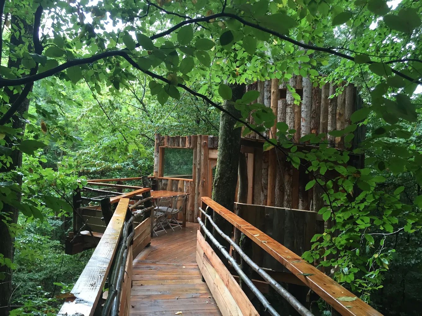 Cabane perchée dans les arbres