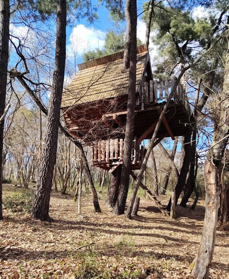Cabane dans les arbres