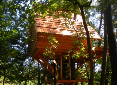 Cabane « nid 'oiseaux »