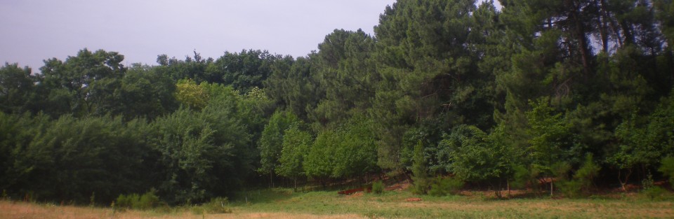 Les cabanes des collines